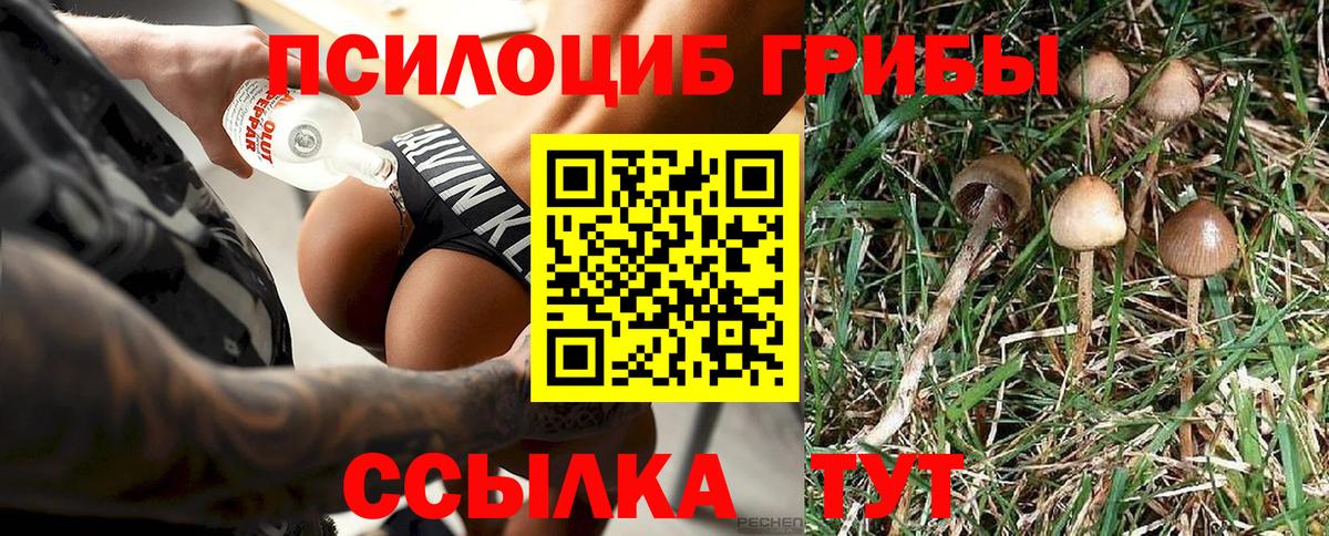 Псилоцибиновые грибы мухоморы  купить   Снежинск  Псилоцибиновые грибы GOLDEN TEACHER  Вход с VPN 