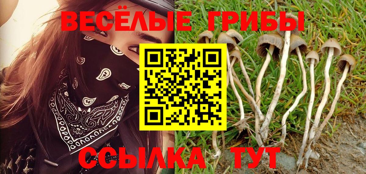 Псилоцибиновые грибы Psilocybe Снежинск